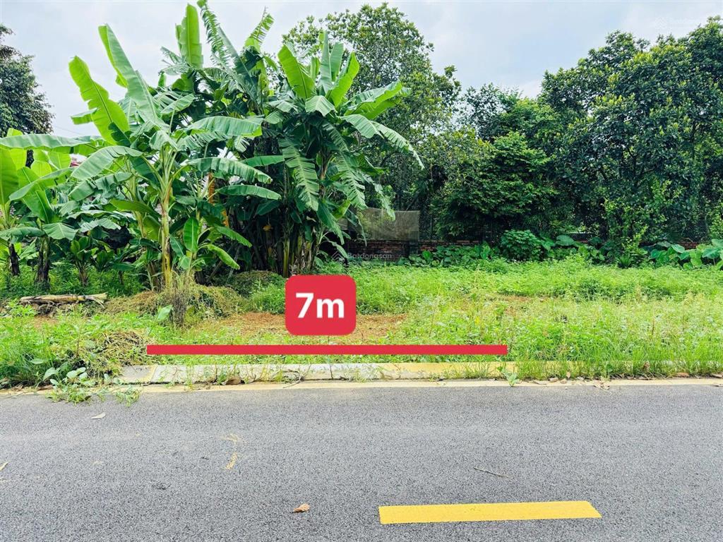 Chính chủ cần bán gấp 93m2 mặt tiền rộng 7m phú cát giá siêu tốt