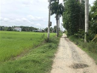 1000m2 có 120m2 thổ ( tt 450tr) thoải mái cất nhà, cách bình tân, tp. hcm 39km