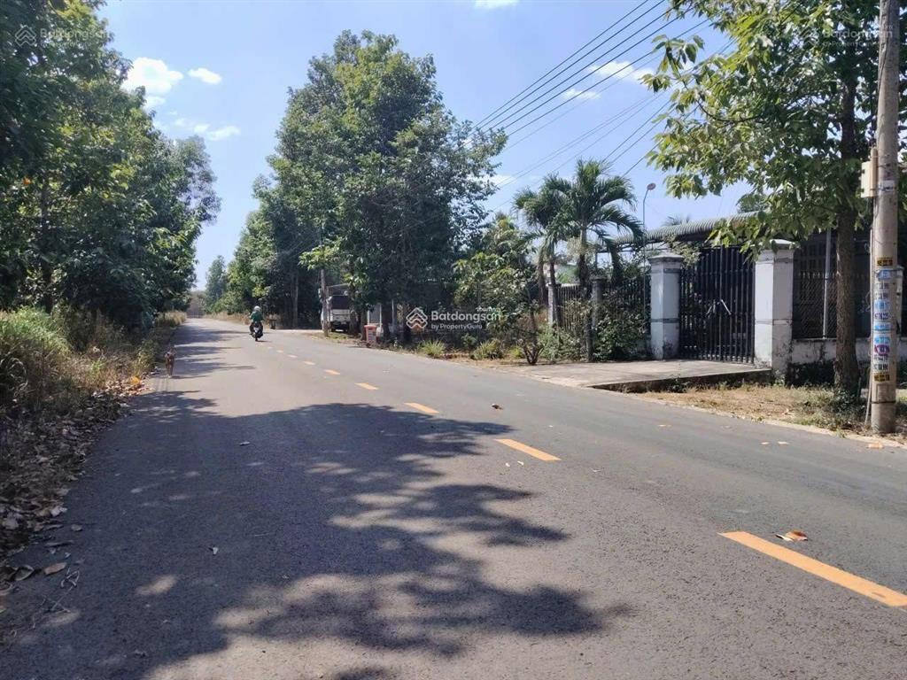 Chủ gửi bán đất thanh an, tp hồ chí minh ( an lập dầu tiếng cũ)