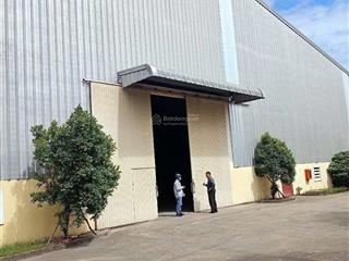 Cho thuê kho xưởng  dt kho 12.000m2 + dt sân 8.000m2  pccc tự động theo tiêu chuẩn