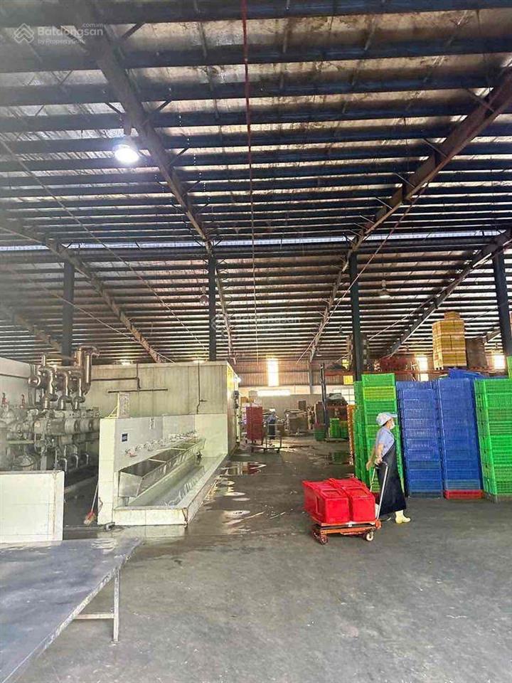 Cho thuê kho xưởng  dt kho 12.000m2 + dt sân 8.000m2  pccc tự động theo tiêu chuẩn
