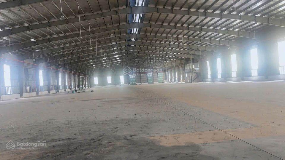 Kho cạnh sân bay tsn, dt kho 5500m2 + sân 2000m2, có pccc tự động, cont40f vào