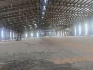 Kho cạnh sân bay tsn, dt kho 5500m2 + sân 2000m2, có pccc tự động, cont40f vào