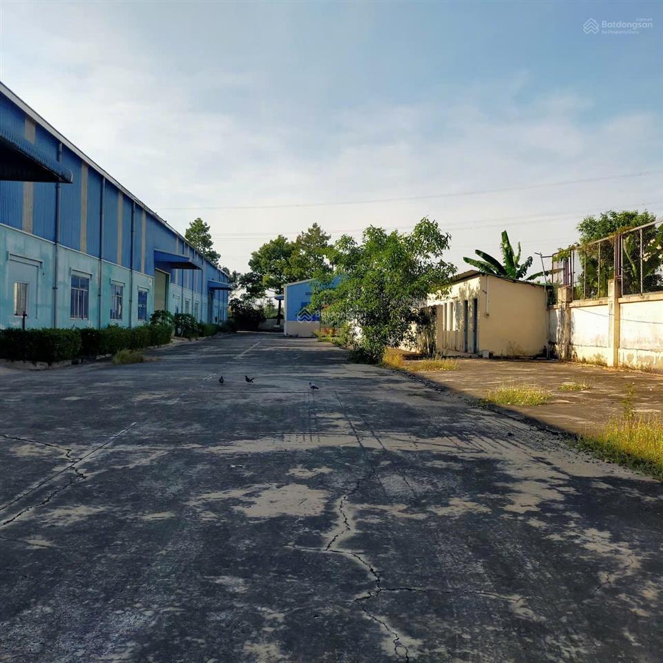 Tổng dt 25.000m2 (kho 15.000m2 + sân 5000m2 + vp 200m2)  pccc tự động  có ngăn