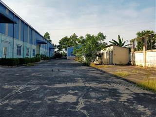 Tổng dt 25.000m2 (kho 15.000m2 + sân 5000m2 + vp 200m2)  pccc tự động  có ngăn