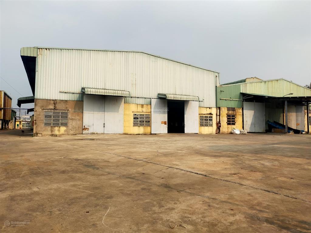 Cho thuê kho xưởng kho 5000m2 + sân 3000m2  có pccc tự động  cont40 vào