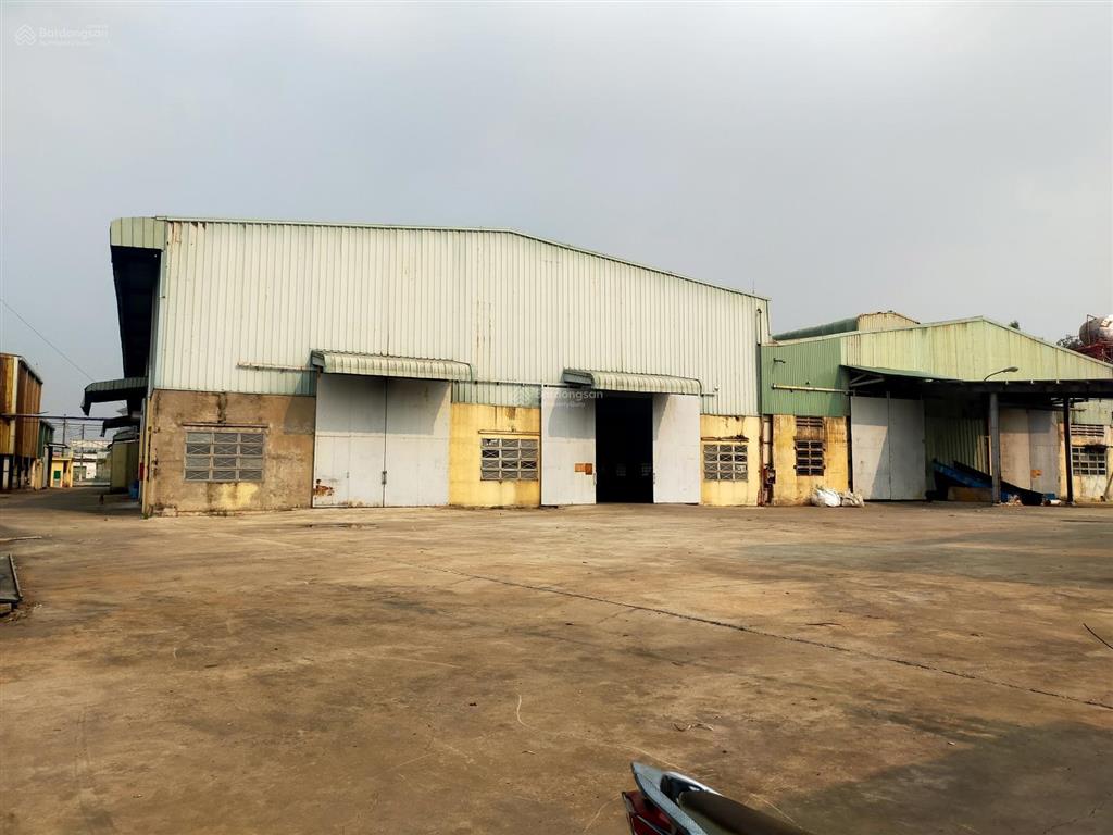 Cho thuê kho xưởng kho 5000m2 + sân 3000m2  có pccc tự động  cont40 vào