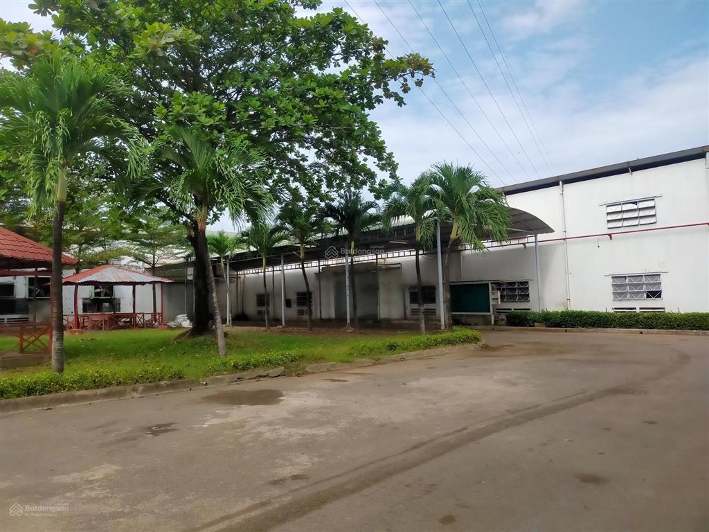 Cho thuê kho xưởng kho 5000m2 + sân 3000m2  có pccc tự động  cont40 vào