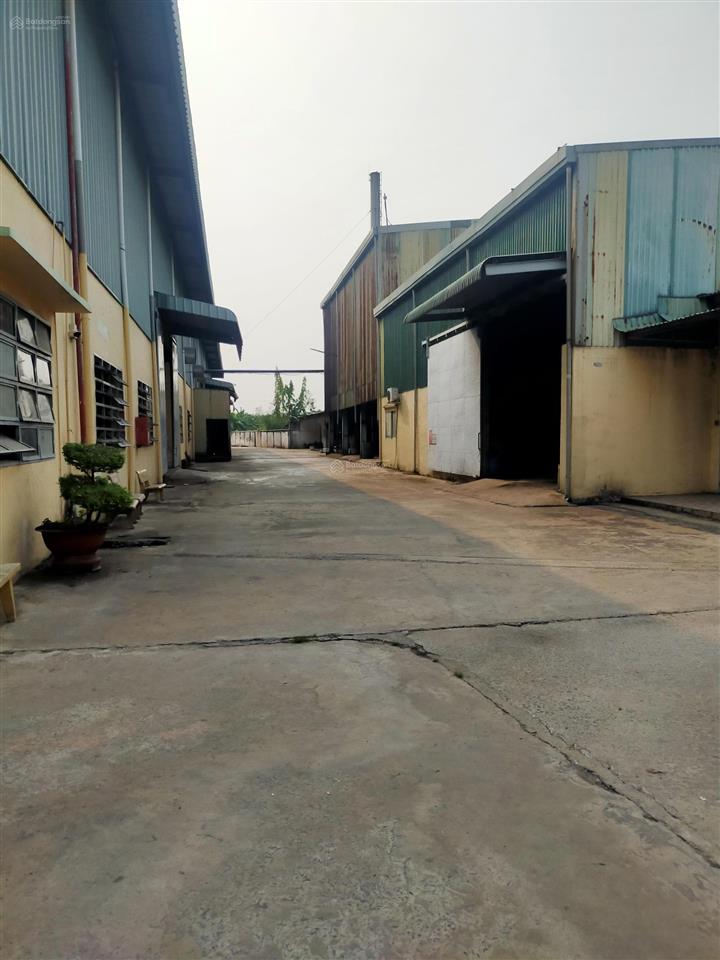 Cho thuê kho xưởng kho 5000m2 + sân 3000m2  có pccc tự động  cont40 vào
