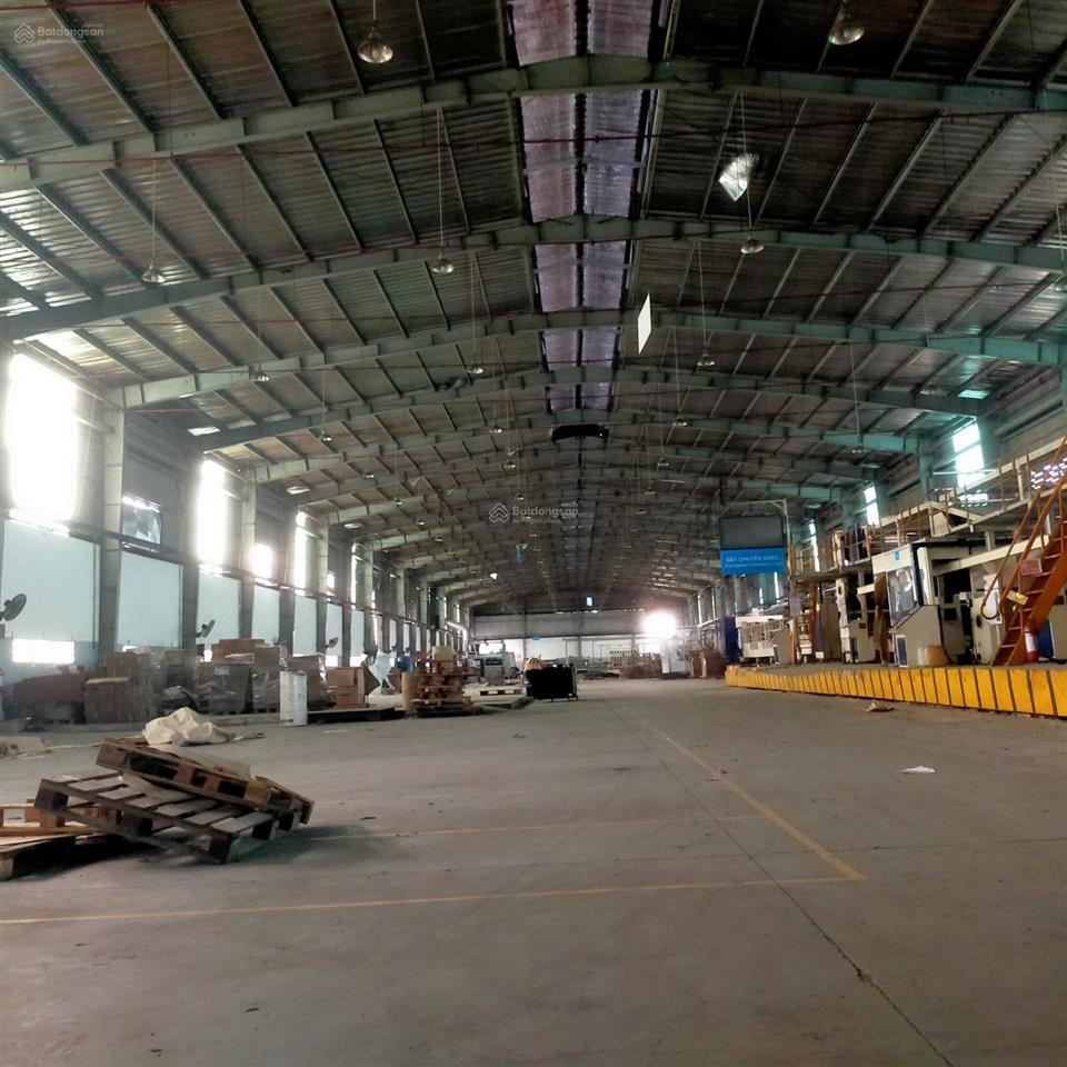 Cho thuê kho xưởng kho 5000m2 + sân 3000m2  có pccc tự động  cont40 vào