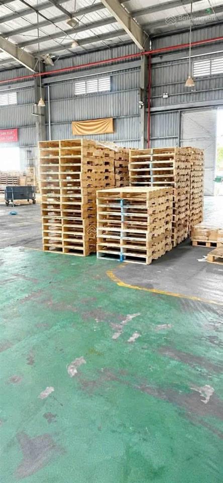 Cho thuê kho xưởng 3.350m2/ 7.000m2 đường cont 40f đi 24h, pccc có thẩm duyệt