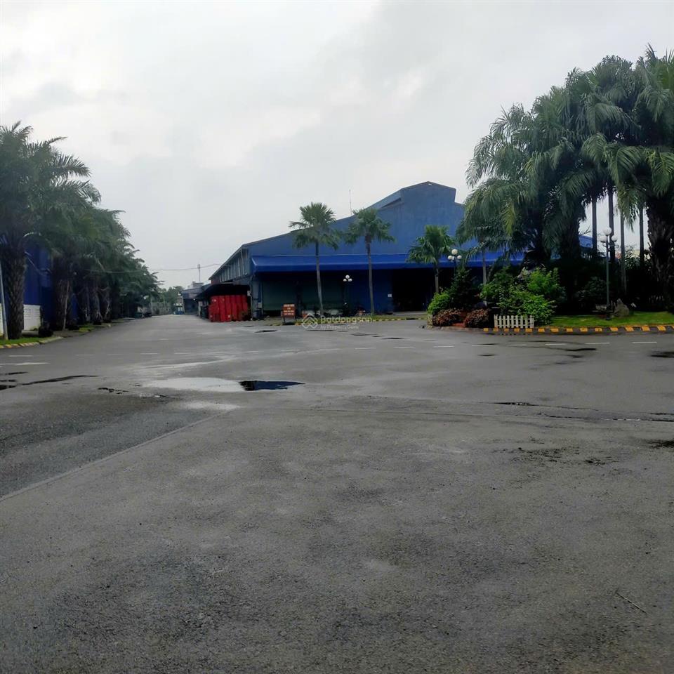 Tổng dt 5.000m2 (kho 2.300m2)  đường cont 40ft  có pccc