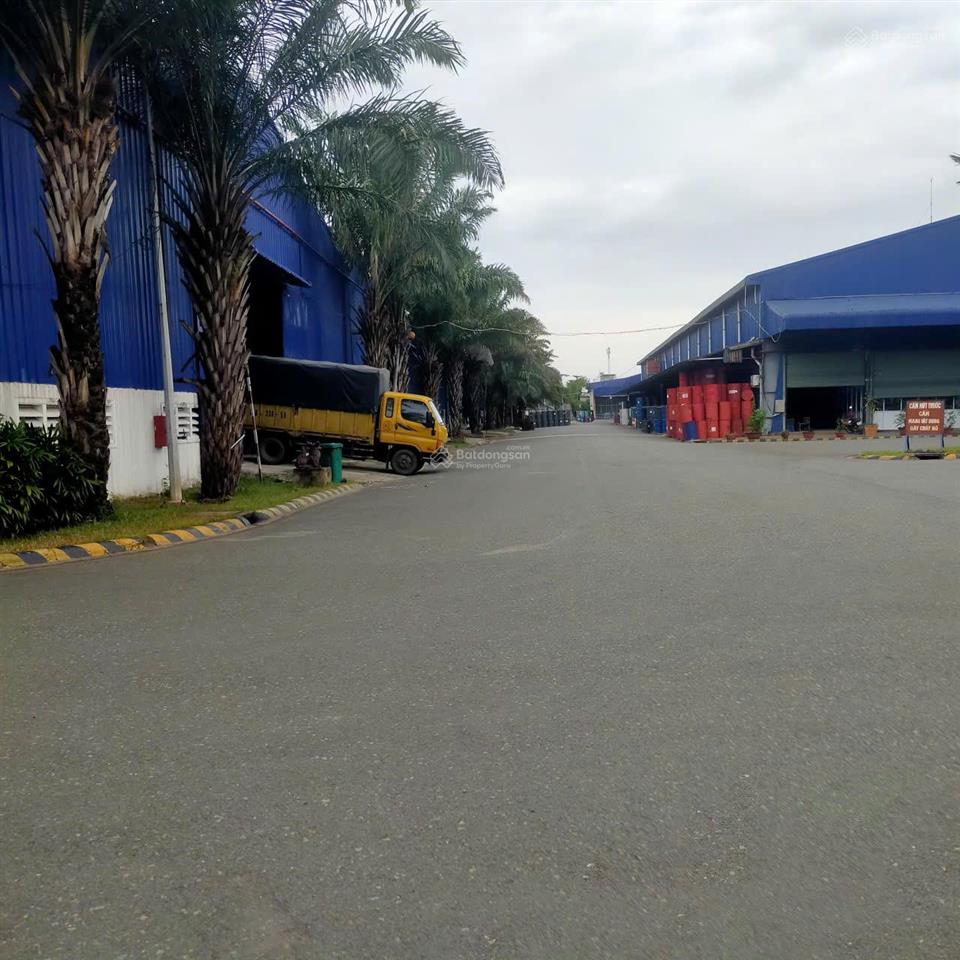 Tổng dt 5.000m2 (kho 2.300m2)  đường cont 40ft  có pccc