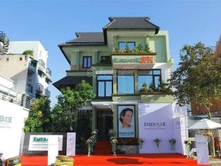 Căn chính chủ bán gấp, biệt thự cao cấp kdc nam long, 45 tỷ, căn góc