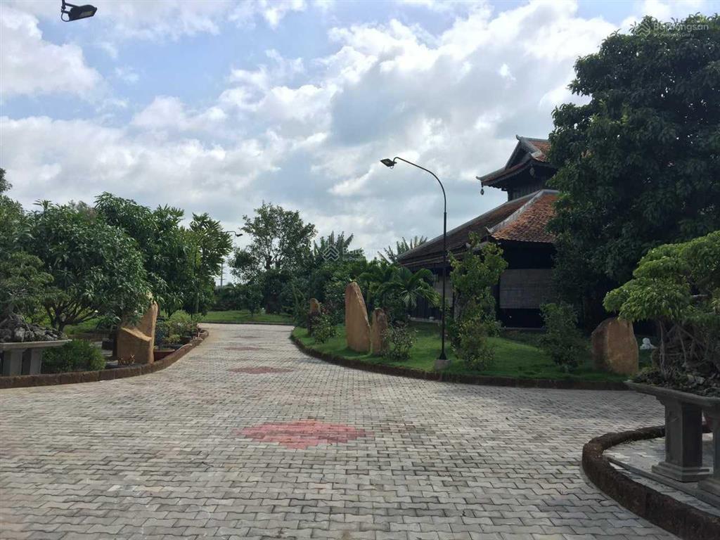 Nhà vườn nhơn trạch sổ hồng có thổ, tổng dt 11,800m2 mặt tiền trục đường lớn