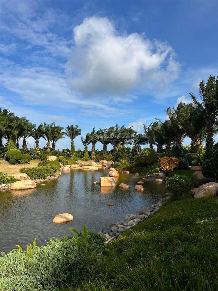 Căn 1pn onsen 2,55 tỷ ecoretreat thanh toán 630 triệu