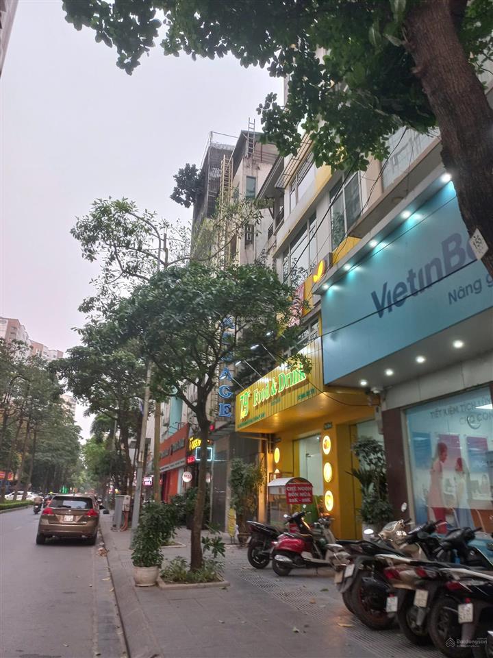Cho thuê nhà mặt phố đỗ quang, trần duy hưng, trung hòa nhân chính giá rẻ