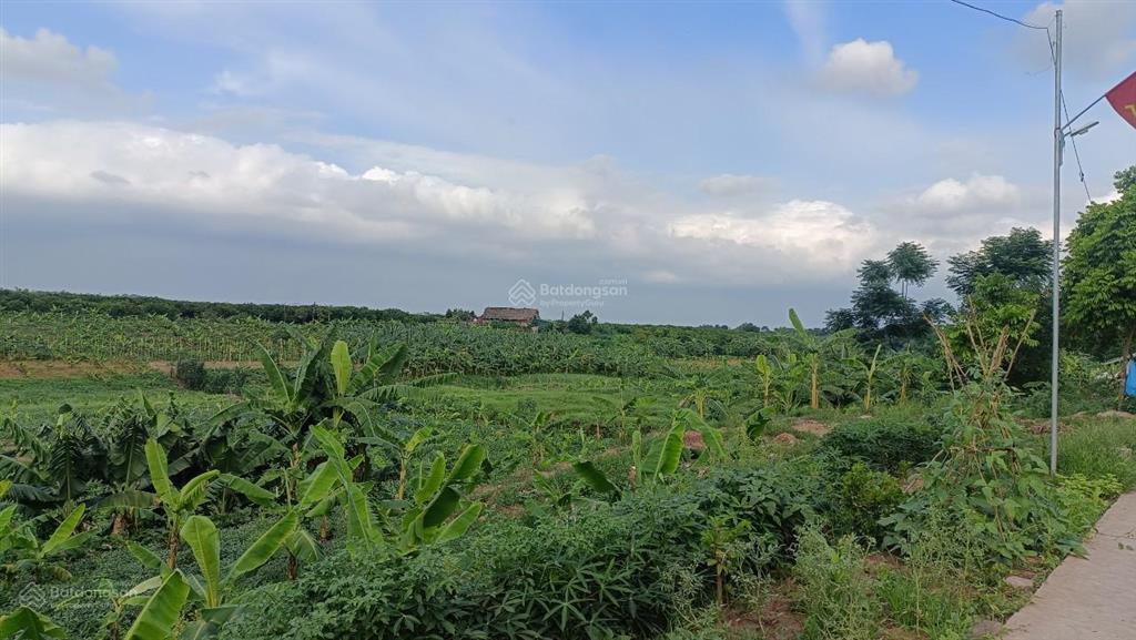 Bán đất khu 10, hương nộn, tam nông, phú thọ