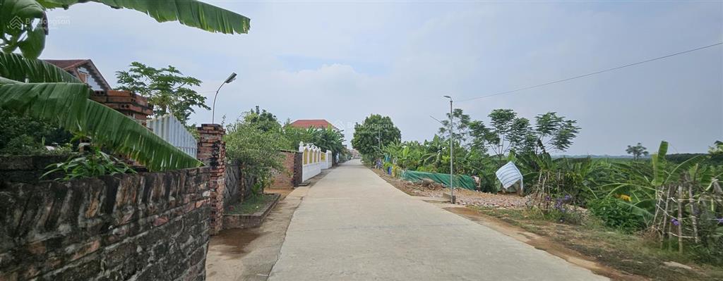 Bán đất khu 10, hương nộn, tam nông, phú thọ