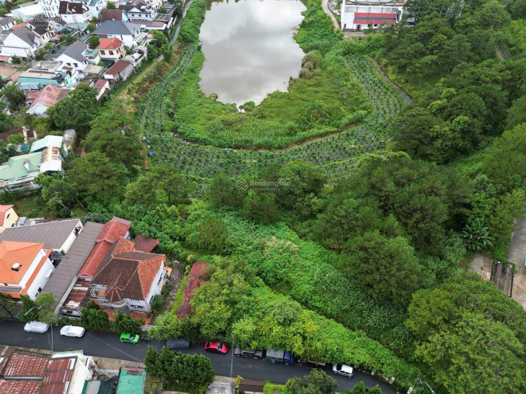 Bán biệt thự view hồ và thông xanh  cách hồ xuân hương 700m