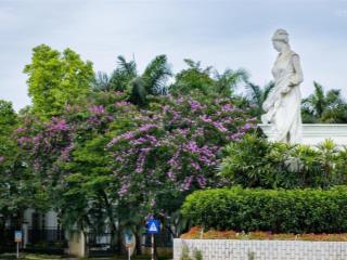 Chinh chủ gửi bán biệt thự song lập 180m2 khu k ciputra hà nội