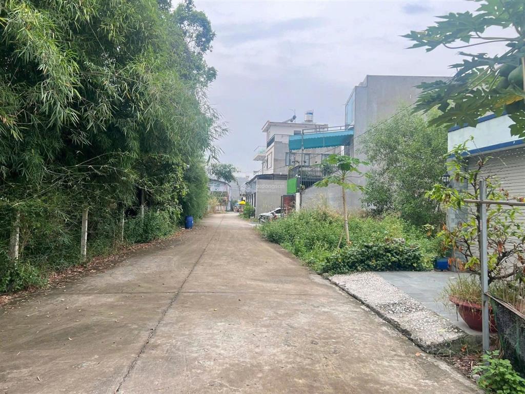 Đất định hòa 1 tỷ 950 triệu gần bên chung cư phú mỹ hưng 36 tầng đường thực tế bê tông 6m 5x18.6m