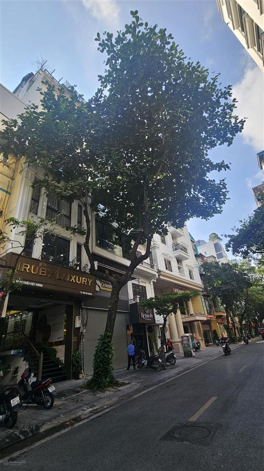 Bán nhà mặt phố hàm long 175m tòa nhà 9 tầng cực đẹp vỉa hè rộng, dòng tiền cao. chỉ hơn 100 tỷ