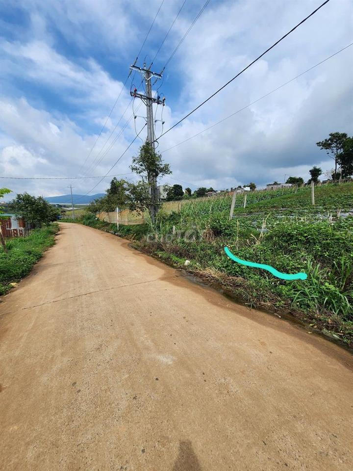 Bán đất có thổ cư vùng ven Tp Đà Lạt