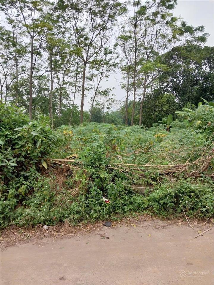 Tôi chính chủ bán 128m2 đất thổ cư tại xuân mai giá rẻ