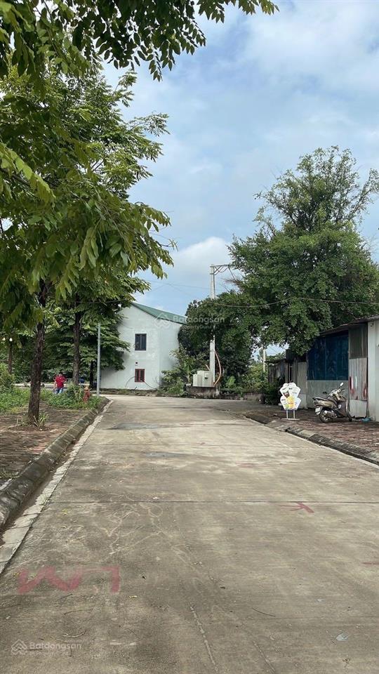 Bán đất đấu giá khoang bèo sát ql6 tt. xuân mai, chương mỹ giá hời khu vực
