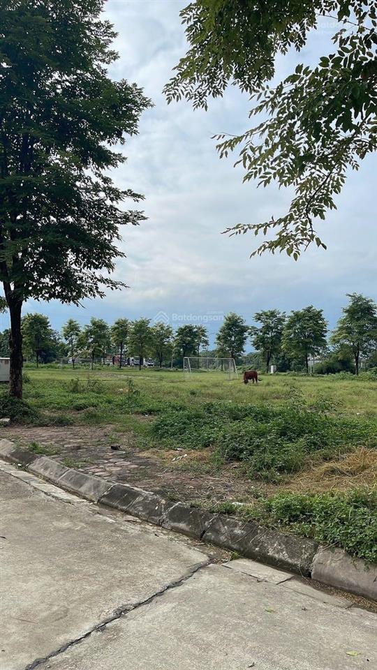 Bán đất đấu giá khoang bèo sát ql6 tt. xuân mai, chương mỹ giá hời khu vực