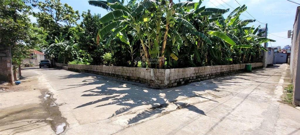Bán đất 163m2 ngay sau ủy ban xã xuân mai giá hơn 2 tỷ