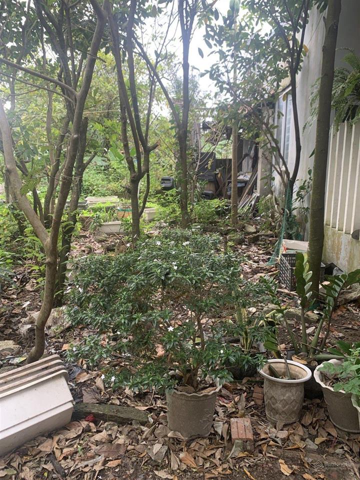 Bán đất diện tích lớn trường chinh  ngang khủng 8m  gần đường lớn  sổ vuông vức  giá chỉ 2,68tỷ
