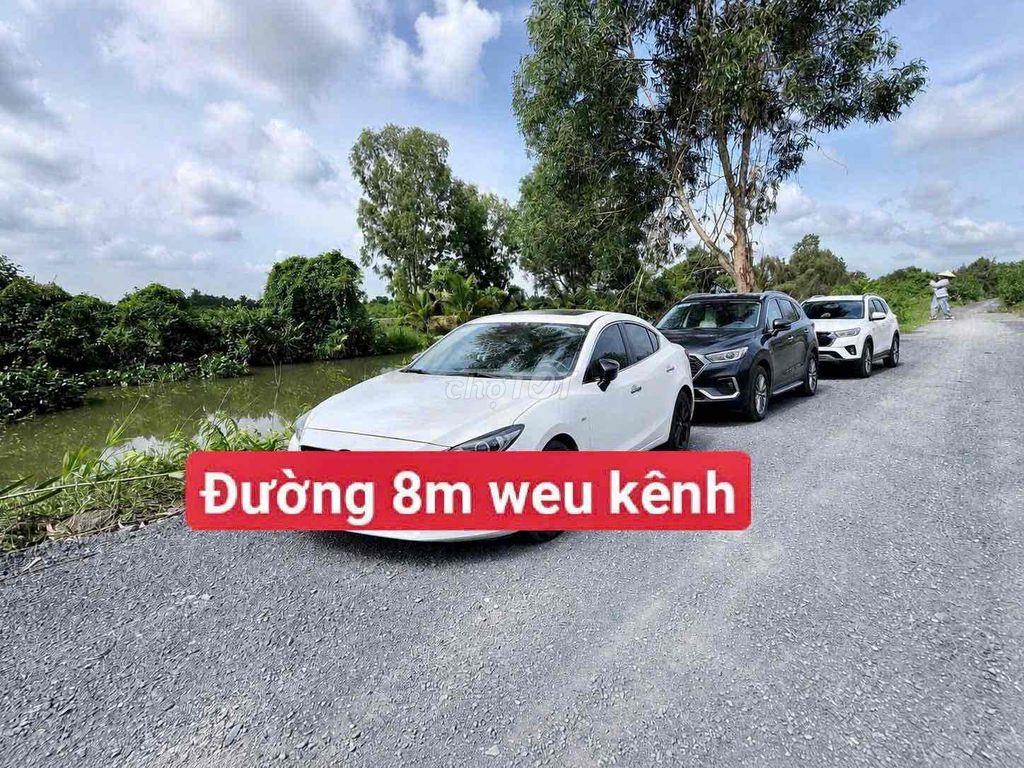Hàng hiếm tại tỉnh lộ 816, 390 triệu, 500m2 đất vườn View Kênh mát mẻ