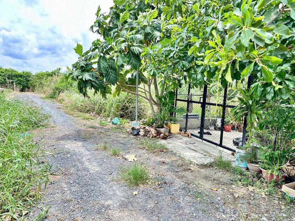 Cần bán gấp nhà vườn 135.8mv thổ cư cách Khu Du Lịch Happy Land 3km