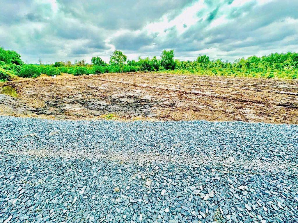 Bán 500m2 tại tỉnh lộ 816, xã Thạnh Hòa, huyện Bến Lức, 395 Triệu  .
