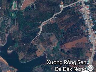 Bán đất giá rẻ vị trí đẹp trung tâm thành phố gia nghĩa đăk nông, lâm đồng