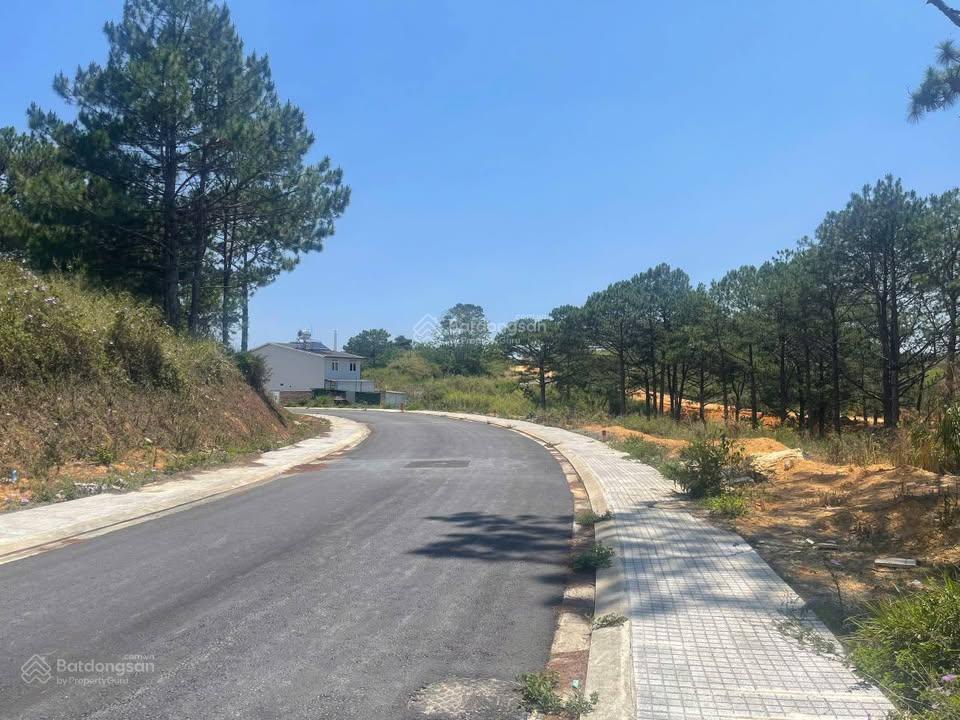 Đất kqh an sơn mới view thung lũng rừng thông nở hậu đều