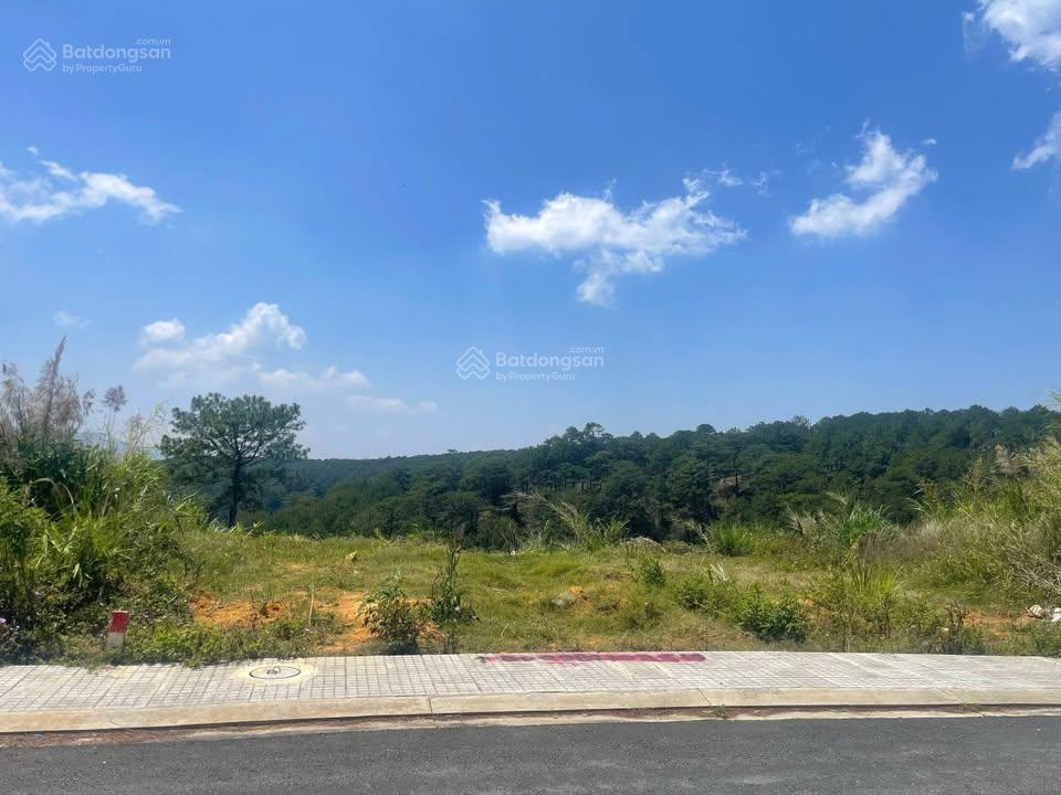 Đất kqh an sơn mới view thung lũng rừng thông nở hậu đều