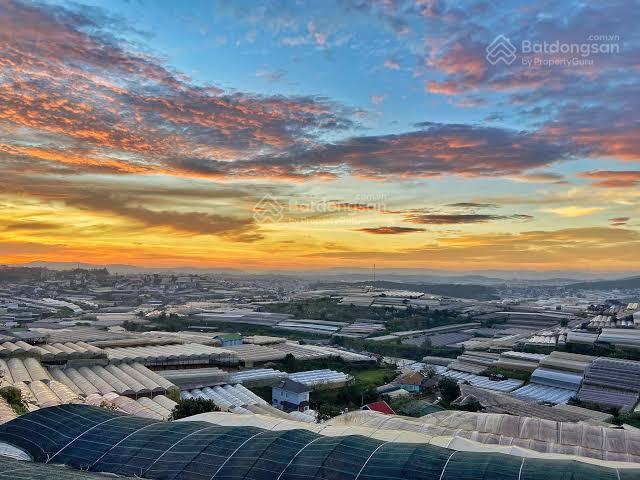 Đất mặt tiền đường view thung lũng săn mây đồi thông