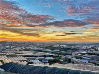 Đất mặt tiền đường view thung lũng săn mây đồi thông