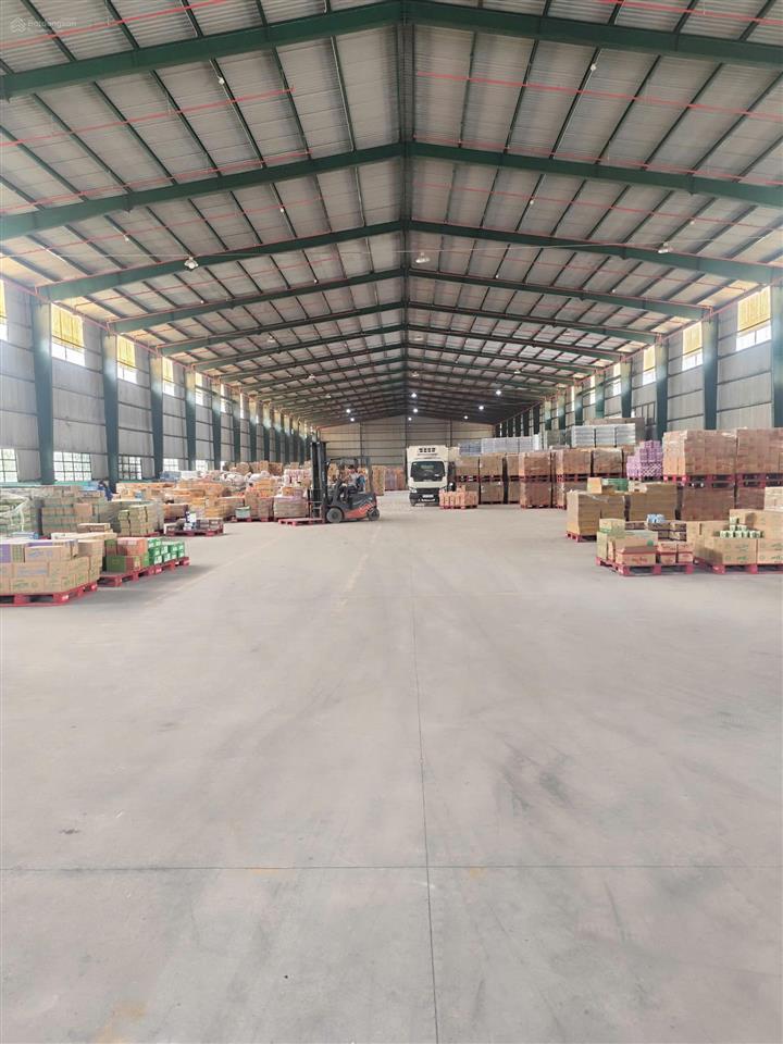Cho thuê kho siêu vip 3.500m2 đường trịnh quang nghị, q8  pccc tự động