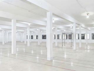 Cho thuê kho siêu vip 850m² đường trường sơn, q. 10  có pccc