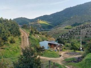 Bán trang trại sầu riêng. đường quốc lộ 27, đam rông, 35 tỷ, 38hecta
