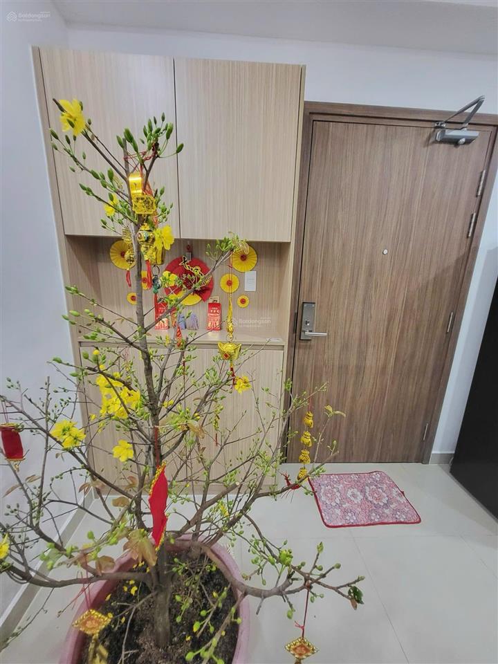 Bán căn studio midori the view 35m2 giá 1 tỷ 6 all in tp mới bình dương