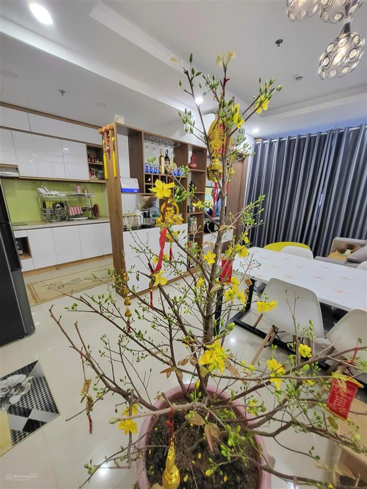 Bán căn studio midori the view 35m2 giá 1 tỷ 6 all in tp mới bình dương