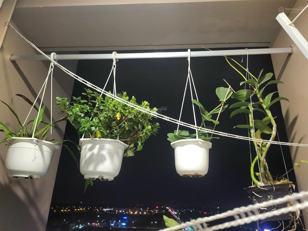 Bán căn studio midori the view 35m2 giá 1 tỷ 6 all in tp mới bình dương