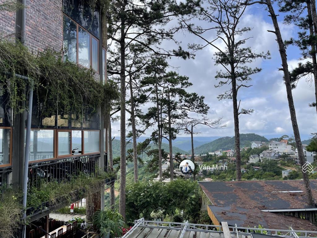 Bán đất 748,4m2 đường hoàng hoa thám, ngang 18m, view rừng thông vĩnh viễn, 200m ra hùng vương