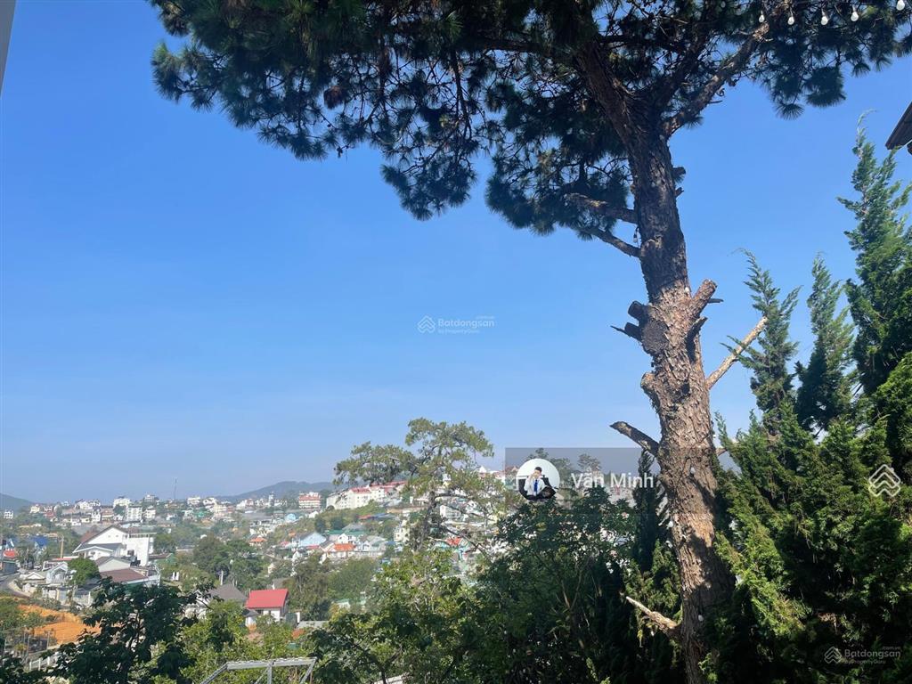 2.589m2 đất tô hiến thành, đống đa, p. xuân hương  đà lạt, giáp cv 20ha giá 32 tỷ ~12,4tr/m2
