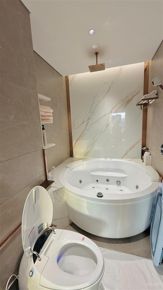 Chính chủ bán căn 3 phòng ngủ, view hồ bơi dự án khu diamond centery, full nội thất cao cấp, ở ngay